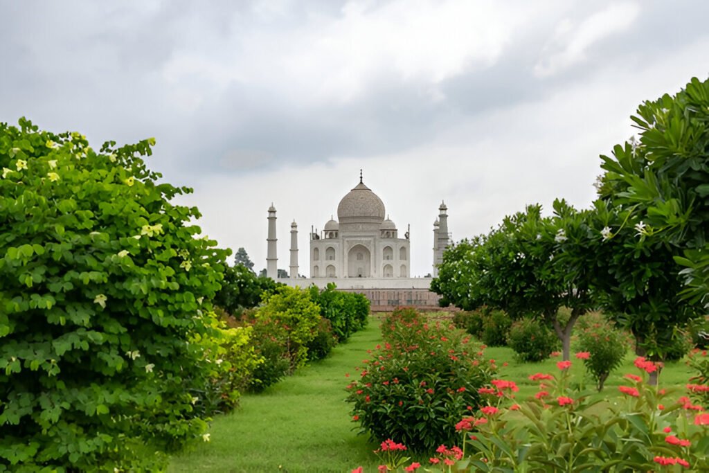 Taj Mahal View from Mehtab Bagh Agra