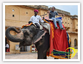 Elephant Ride by Happy Customer from Mexico